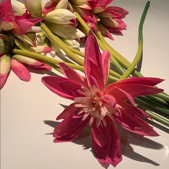 Pier 1 flowers two white 7 pink tall good quality - Picture 2 of 4